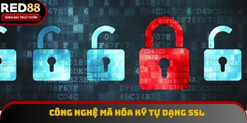 Công nghệ mã hóa dữ liệu trong chính sách bảo mật Red88 Công nghệ mã hóa dữ liệu trong chính sách bảo mật Red88