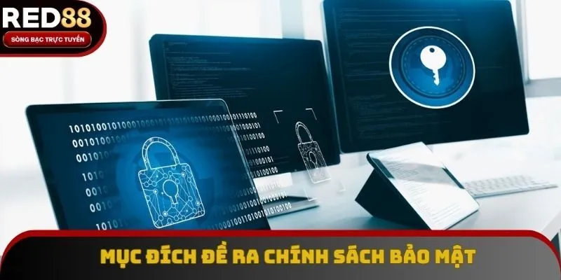 Mục đích sân chơi yêu cầu thông tin Mục đích sân chơi yêu cầu thông tin