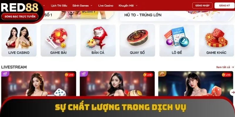 Đem đến trải nghiệm tuyệt vời qua sự chất lượng trong dịch vụ