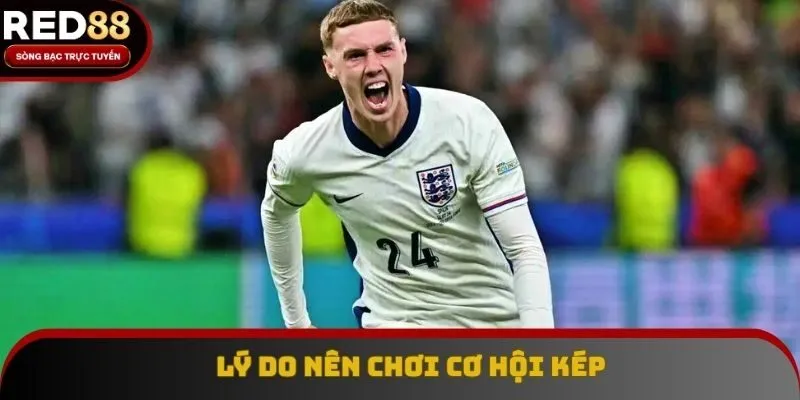 Lý do gì khiến cơ hội kép làm bet thủ say mê đến vậy Lý do gì khiến cơ hội kép làm bet thủ say mê đến vậy