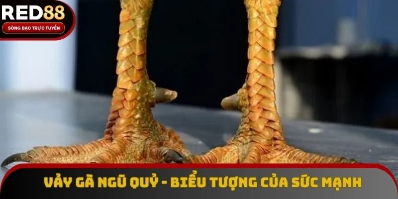 Vảy Gà Ngũ Quỷ - Biểu Tượng Của Sức Mạnh Và Đẳng Cấp