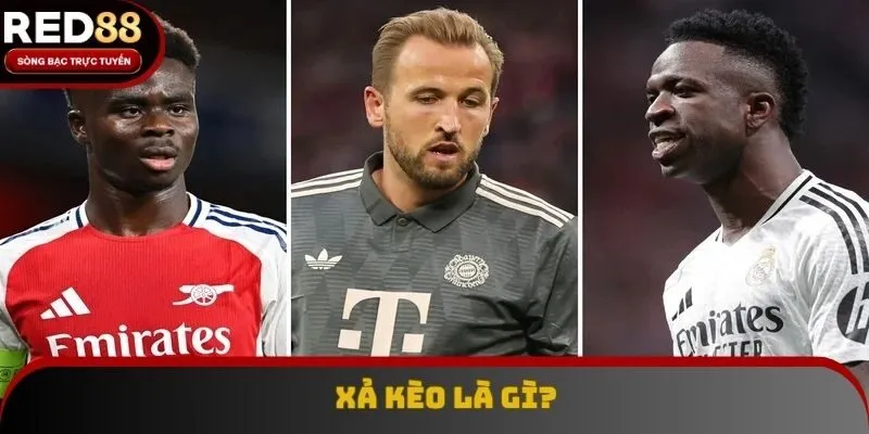 Xả kèo là gì, khái niệm mọi bet thủ cần nắm rõ trong lòng bàn tay Xả kèo là gì, khái niệm mọi bet thủ cần nắm rõ trong lòng bàn tay